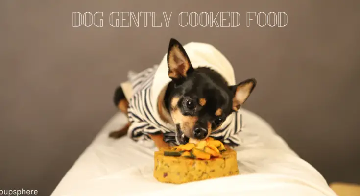 Gently Cooked Dog Food