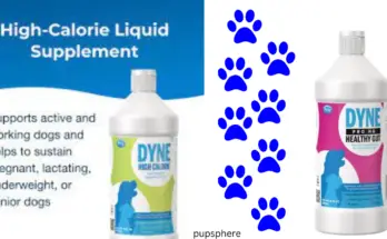 Dyne for Dogs