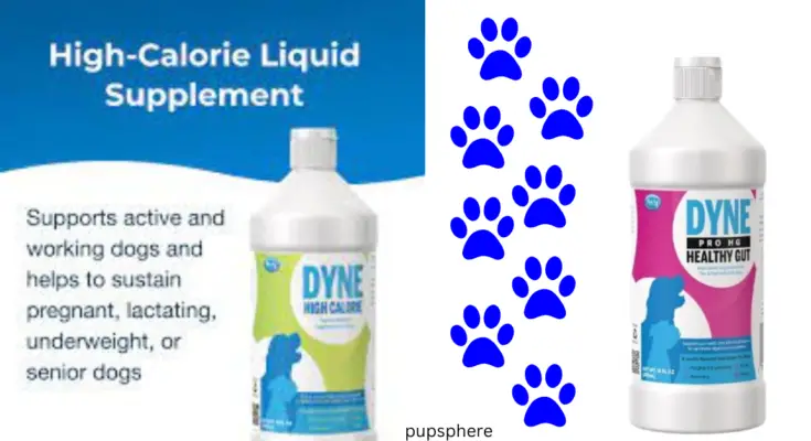 Dyne for Dogs