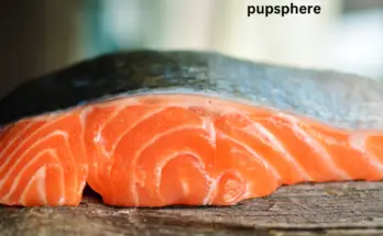 salmon dog food