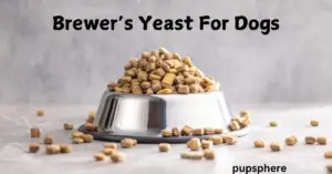 Brewer's Yeast 